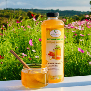  Mật Ong Hoa Cà Phê Đăk Lăk Nguyên Chất Hoàng Nguyên 