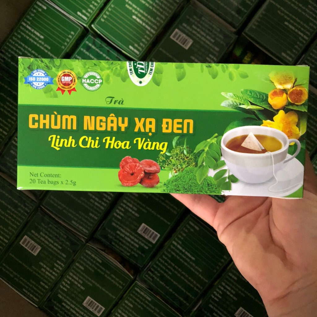 Combo set 10 hộp trà chùm ngây linh chi xạ đen