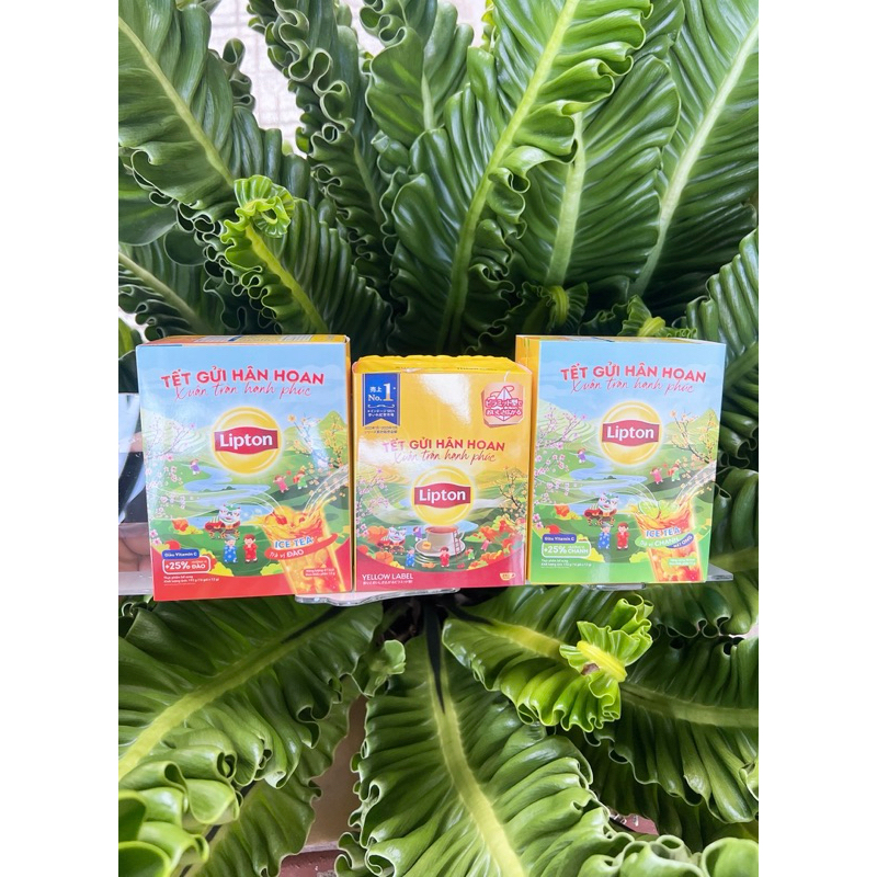 (Sỉ) TRÀ LIPTON VỊ ĐÀO/CHANH MẬT ONG