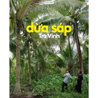 DỪA SÁP LOẠI 2 MINI (600gr-700gr)