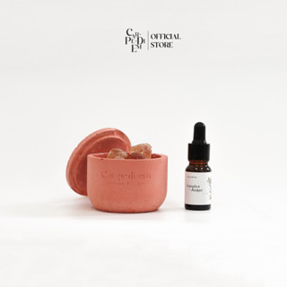 Bộ quà tặng đá thơm Carpe Diem gồm tinh dầu thơm phòng nước hoa 10ml đậm đặc và 100gr đá thơm