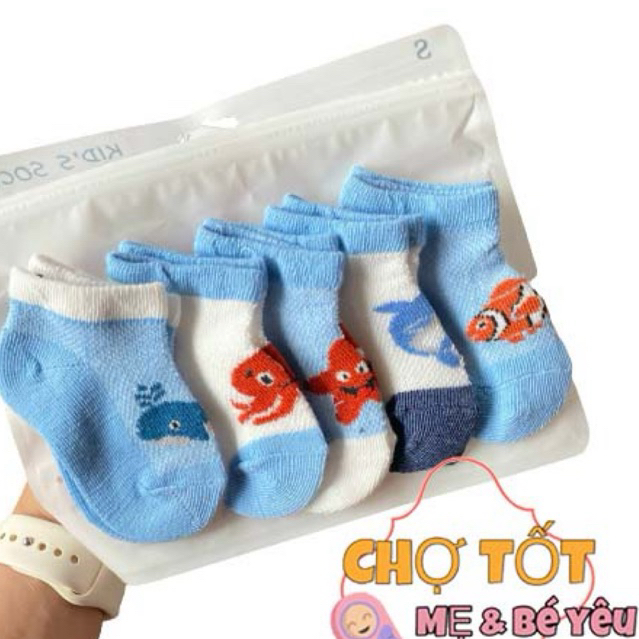 Set 5 Vớ Chân Cho Bé Sơ Sinh Mềm Mịn (nhiều mẫu)