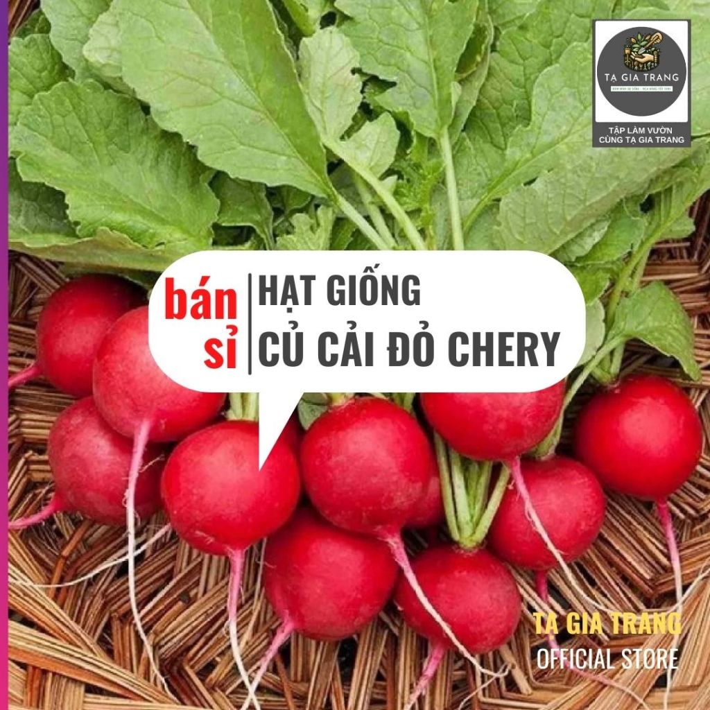 [Bán sỉ] - Hạt giống củ cải đỏ cherry (củ cải đỏ tí hon)