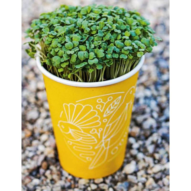 50Gr Hạt Giống Rau Mầm Cải Ngọt (A3.301| Y10*W63*M121)