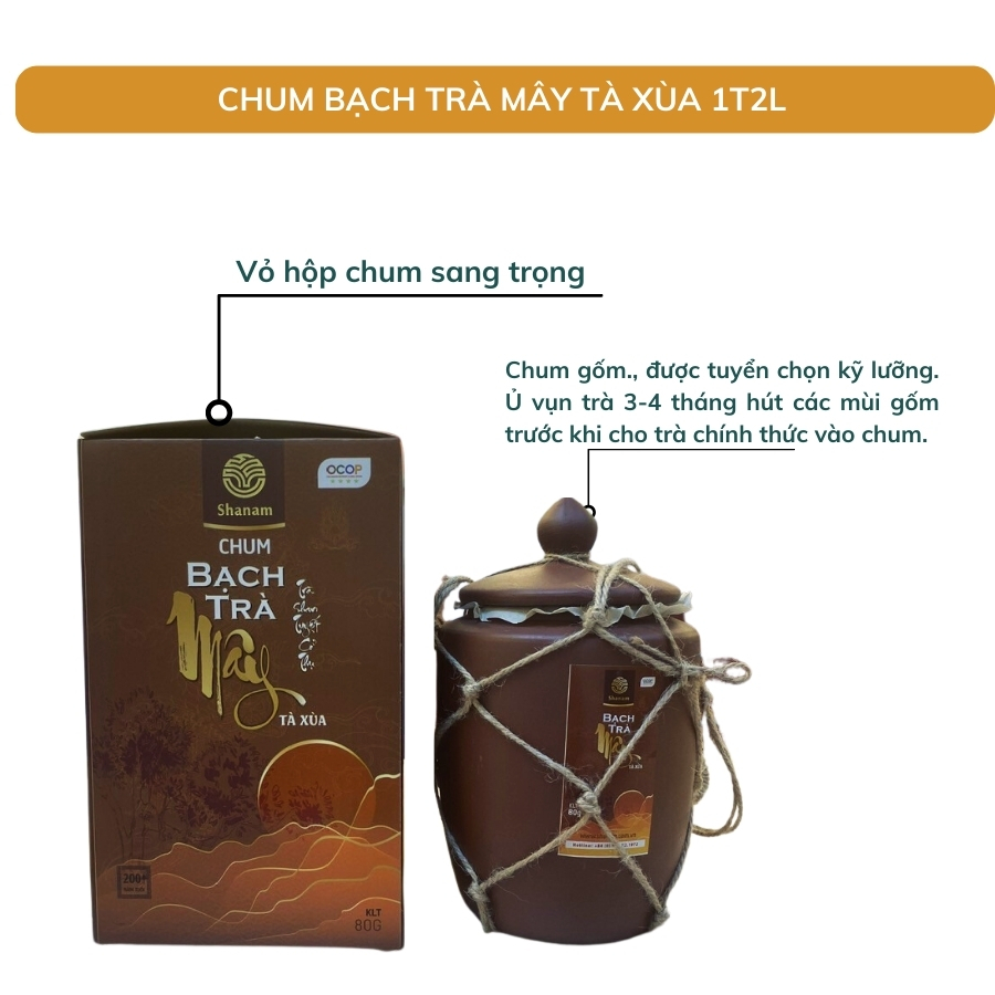Chum Bạch Trà Mây Tà Xùa 1 Tôm 2 Lá, Trà Shan Tuyết Cổ Thụ, Hương Thơm Chát Dịu, Giúp Giảm Căng Thẳn
