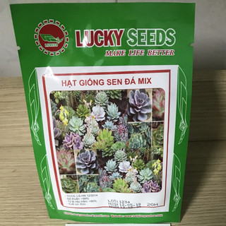 Hạt giống hoa sen đá MIX gói 20 hạt