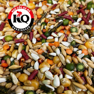 Ngũ cốc gà đá KQ KING 2kg (bao bì mới) dành cho gà nòi