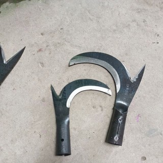 lưỡi liềm hái dừa, cắt tỉa cành
