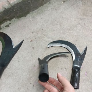 lưỡi liềm hái dừa, cắt tỉa cành