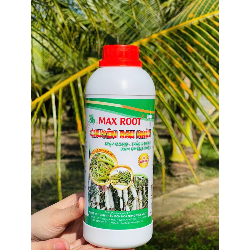 Phân bón Max Root - Chuyên rau nhút