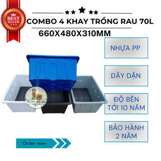 COMBO 4 chậu trồng rau 70L/ Khay trồng rau/ Chậu trồng cây/ CHẬU AQUAPONICS KT 660x480x310cm 4 mầu