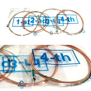 Dây đàn guitar bass thùng (Acoustic Bass Strings)