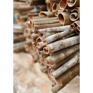 Quế Thanh Khô Yên Bái, làm ấm bụng, giải cảm, giảm đau nhức xương khớp, dùng làn gia vị, trang trí...