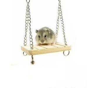 Xích đu treo lồng cho Hamster