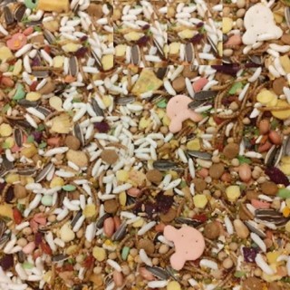 Combo: Thức ăn, cát tắm, mùn cưa