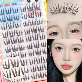 Hộp 10 hàng Mi Cụm mỏng nhẹ như mi tự nhiên