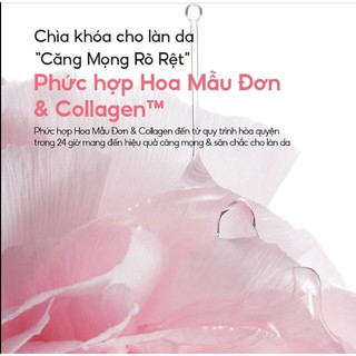 Mặt Nạ Ngủ LANEIGE Bouncy & Firm Sleeping Mask tăng cường collagen và làm săn chắc da (Mẫu mới 60ML)