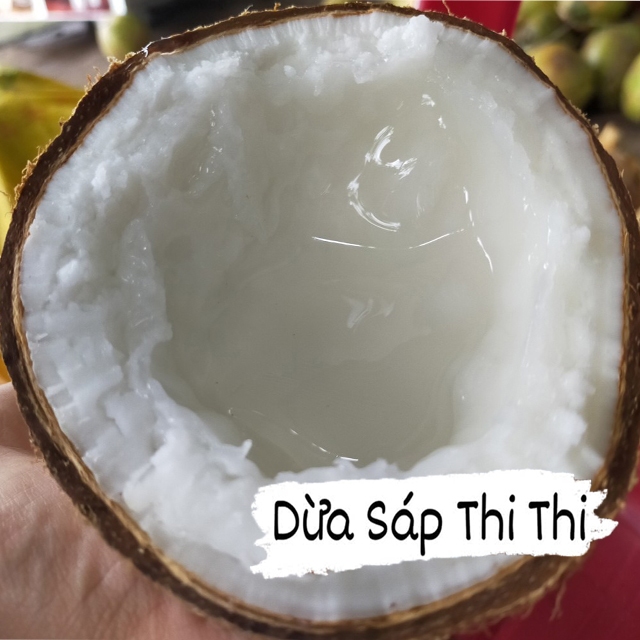 Combo 2 Dừa Sáp Loại 2 Size Lớn (Trái 1.1Kg-1.2Kg)