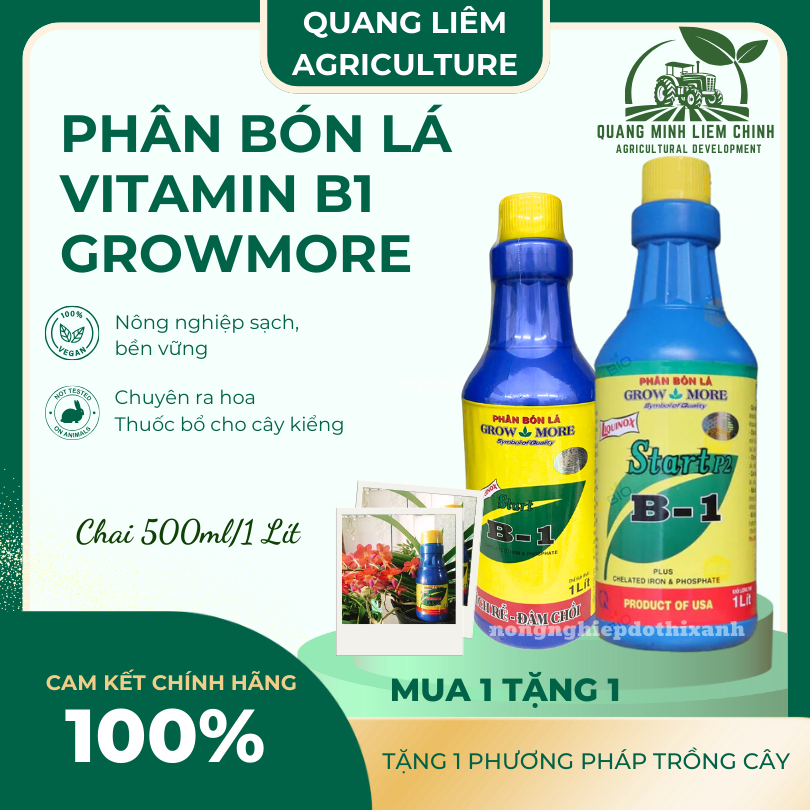 Phân bón lá đậm đặc cao cấp VITAMIN B1 Growmore (500ml, 1Lít) - B1 Kích Ra Bông