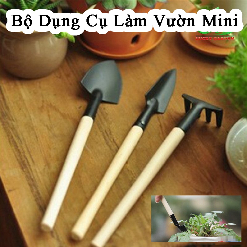 Bộ 3 Dụng Cụ Làm Vườn Mini