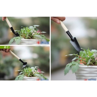 Bộ 3 Dụng Cụ Làm Vườn Mini