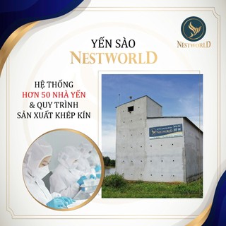 Trà Hòa Tan Yến Nhân Sâm – Nestginseng