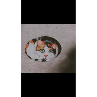 Sỏi đá sáng tạo lẻ 1 viên ( kích thước 9 cm )