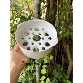 Xửng hấp nồi nấu cháo chậm Nineshield 1L