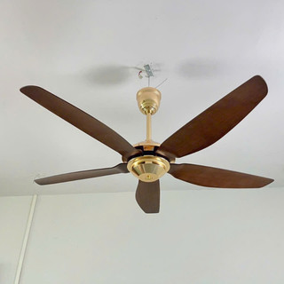   GIẢM SIÊU SỐC Quạt trần 5 cánh không đèn lắp phòng khách,phòng ngủ điều chỉnh được chiều cao,có đảo chiều,động cơ DC 