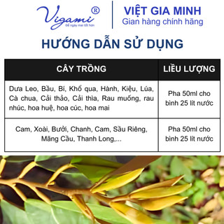 Phân bón VIGAMI COMBI siêu vọt đọt 100ML