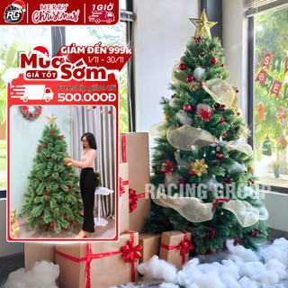 Cây Thông Noel A6 Cước Nở Hoa 1M5 2M 2M4 3M, Gắn Trái Đỏ Lăn Kim Tuyến Và Trái Thông