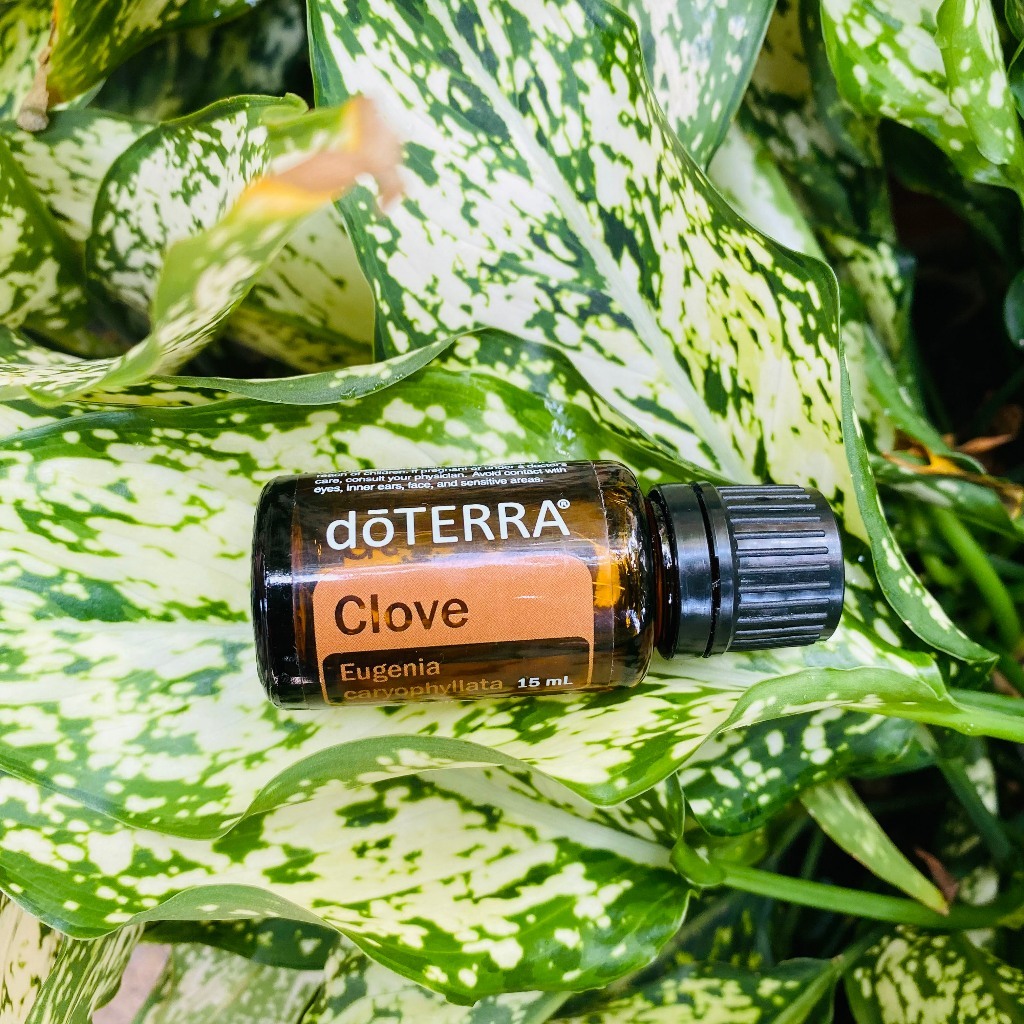 Tinh dầu Clove 15ml doTERRA - Tinh dầu Đinh Hương