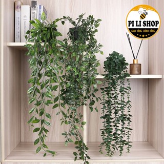 Cây Rủ Lá Giả Mềm Mại Bằng Nhựa Kèm Chậu Mini Để Bàn, Chậu Cây Nhựa Trang Trí Nhà Cửa Xanh Hiện Đại