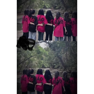 Áo phông nam nữ giá rẻ in chữ HỘI BÁO, Áo thun mặc đơn mặc nhóm đều đẹp phom rộng tay lỡ unisex