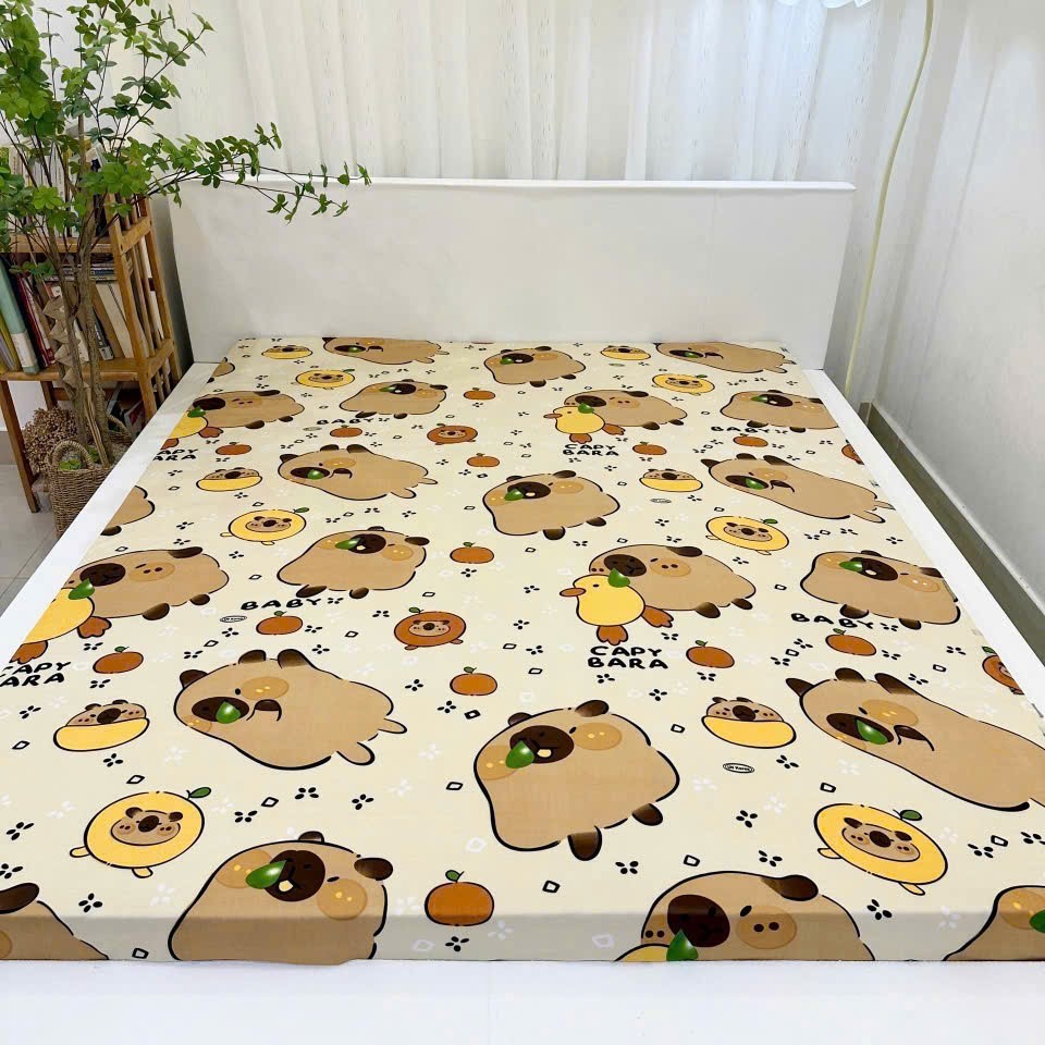 Drap Ga Thun Lạnh hàn quốc không vỏ gối