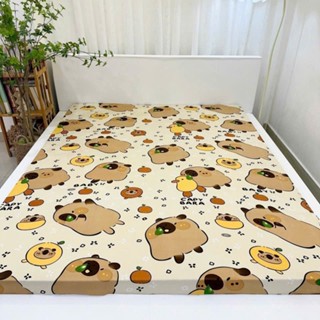 Drap Ga Thun Lạnh hàn quốc không vỏ gối