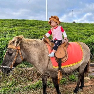 Nón len sư tử cho bé yêu