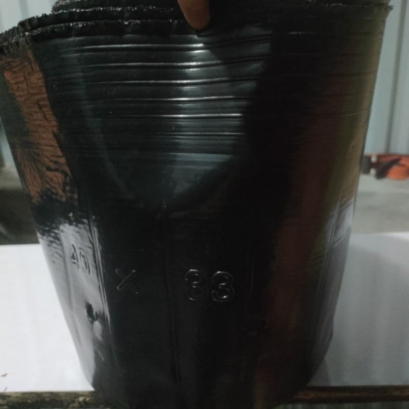 Bầu ươm cây 40x33 1kg 12 bầu