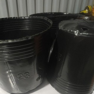 Bầu ươm cây 40x33 1kg 12 bầu
