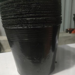 Bầu ươm cây 40x33 1kg 12 bầu