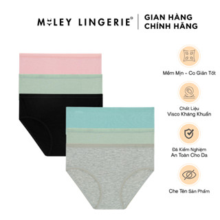 Combo 6 Quần Lót VISCO STRETCH Chất Liệu Visco sợi tre - Miley Lingerie