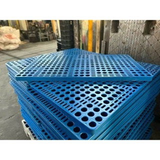 xã kho 100 pallet nhựa không chân