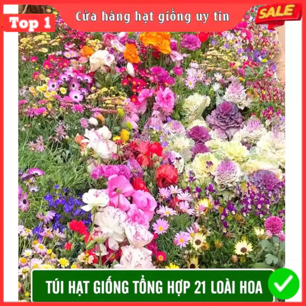 Hạt Giống Hoa Tổng Hợp 21 Loại Hoa Siêu Đẹp Dễ Trồng Tỉ Lệ Nảy Mầm 98% Hoa Nở 4 Mùa (Gói 500 hạt)