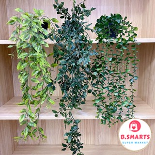Chậu Cây Cảnh Giả Mini Kèm Chậu Bằng Nhựa Decor Phòng, Cây Nhựa Trang Trí Rủ Lá Giả Mềm Mại Tự Nhiên