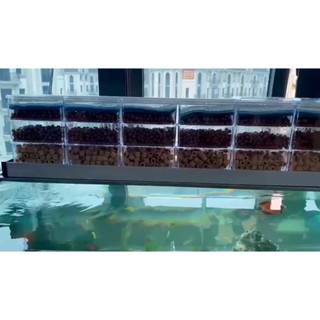 HỆ THỐNG LỌC DÀN MƯA CHO BỂ CÁ CẢNH