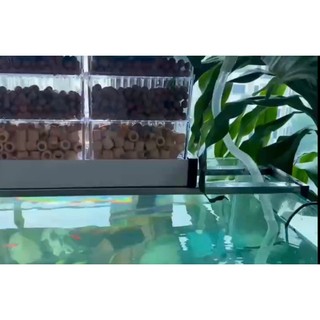 HỆ THỐNG LỌC DÀN MƯA CHO BỂ CÁ CẢNH