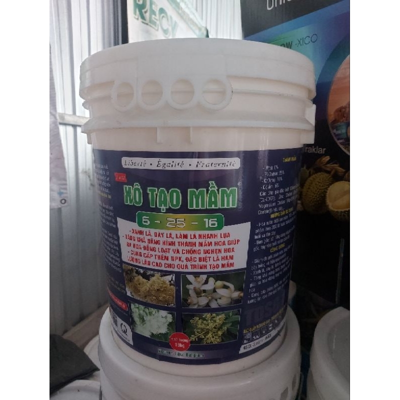 Xô TẠO MẦM 6 - 25 - 16 ( 18kg )