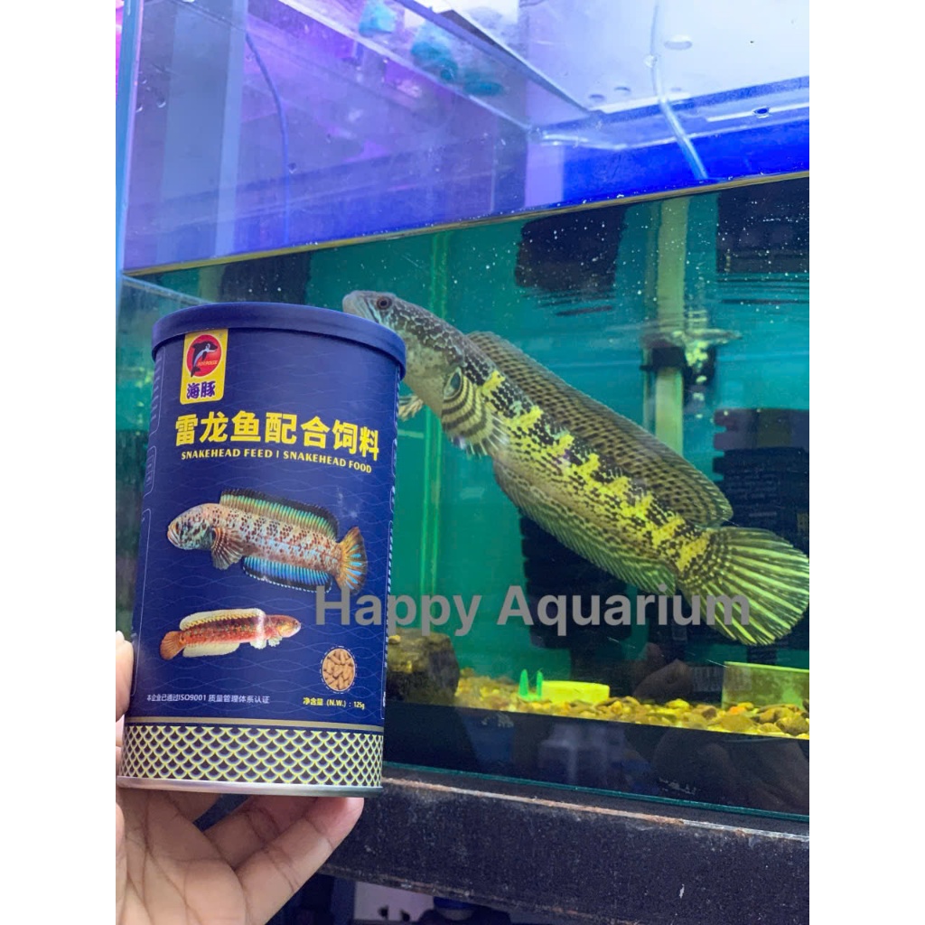 Cám Cá Lóc Porpoise 125g - Thức Ăn Cá Lóc Cảnh Giúp Lên Màu Cá, Tăng Màu Sắc, Bóng Vảy, Đậm Vạch