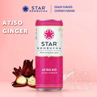 Star kombucha các vị thùng 12lon