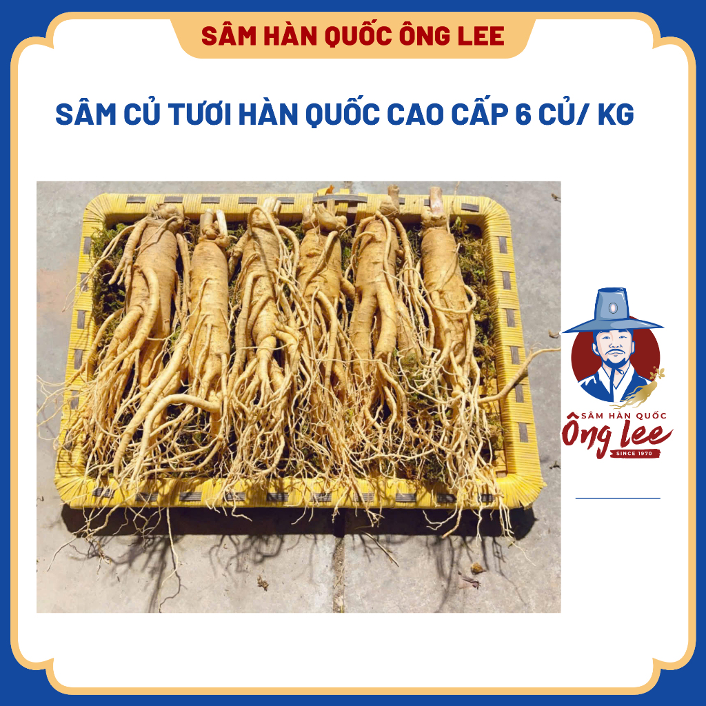 Sâm Củ Tươi Hàn Quốc Cao Cấp 6 Củ/ Kg